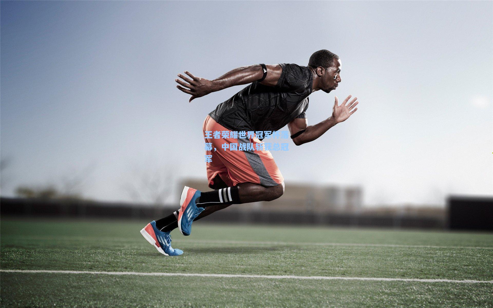 王者荣耀世界冠军杯落幕，中国战队斩获总冠军